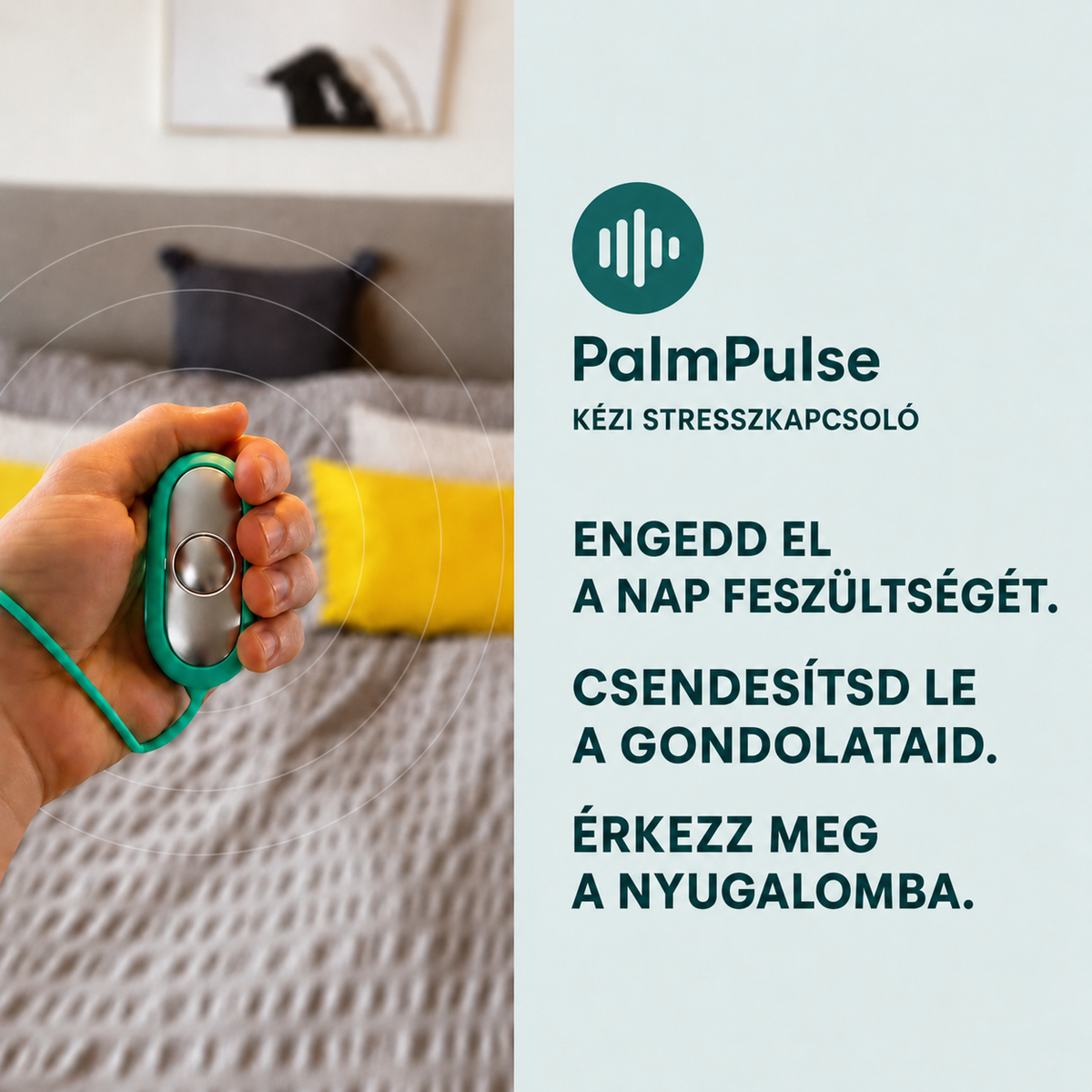 PalmPulse - alvássegítő